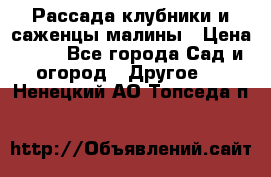 Рассада клубники и саженцы малины › Цена ­ 10 - Все города Сад и огород » Другое   . Ненецкий АО,Топседа п.